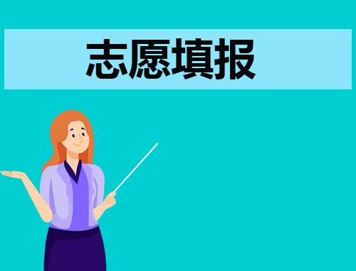 志愿总结报告200字 志愿总结报告1000字