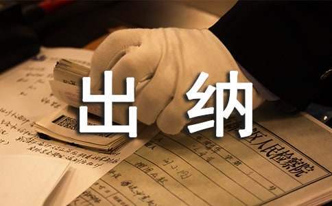 财务出纳人员工作总结 财务出纳的工作总结